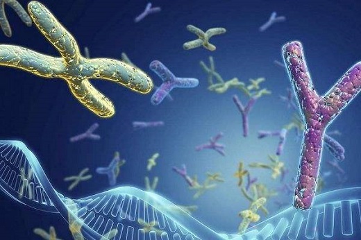 備孕男士抽煙？后悔都來(lái)不及，趕緊戒！