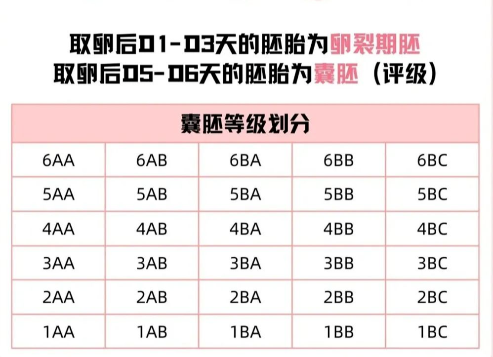 老撾磨丁TT生殖中心做試管嬰兒的全部流程